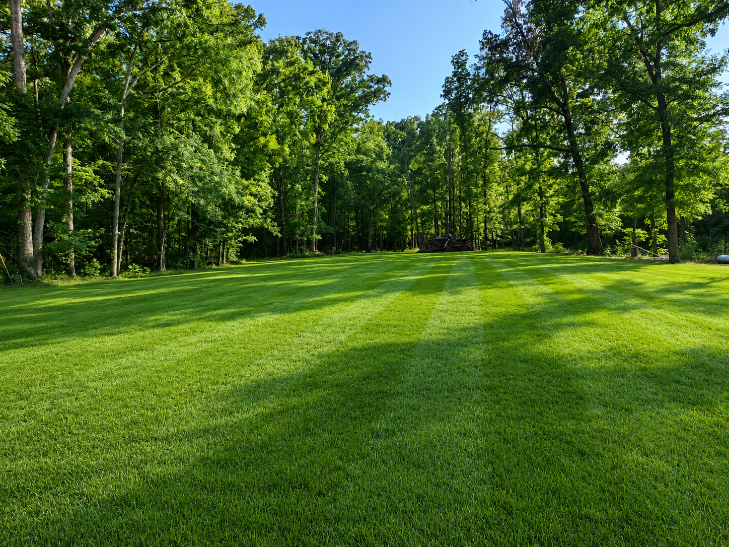 Freshly mowed lawn